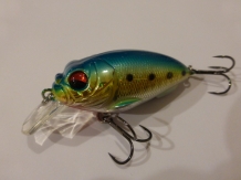 images/categorieimages/Crankbaits 6 - 7 006 [HDTV (1080)].JPG